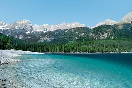 Urlaub Mit Hund Südtirol