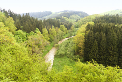 Die 10 schönsten Wanderwege in der Eifel