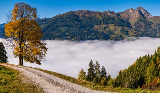 Salzburger Land - Die schönsten Wanderungen