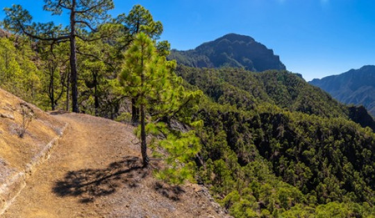 La Palma - Die schönsten Wanderungen