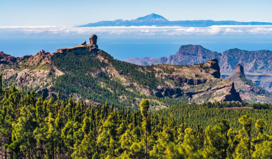 Gran Canaria - Die schönsten Wanderungen