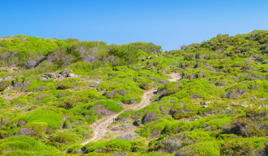 Menorca - Die schönsten Mountainbike-Touren