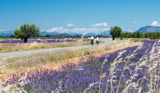 Provence - Die schönsten Radwege