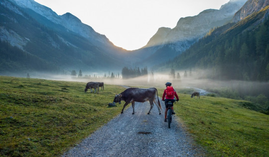 Alpen - Die schönsten Mountainbike-Touren