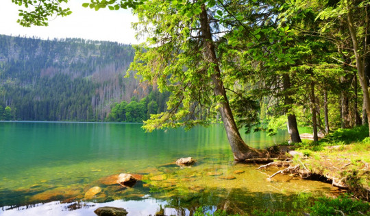 Böhmerwald - Die schönsten Seen