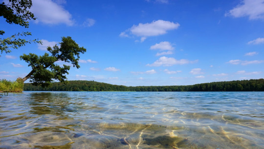 Die schönsten Seen in Brandenburg