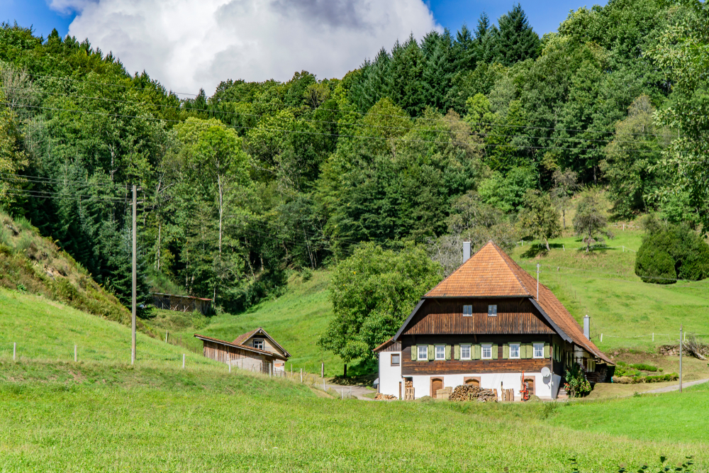 Ferienhaus Schwarzwald