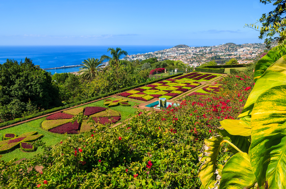 Madeira Sehenswürdigkeiten Botanischer Garten Funchal